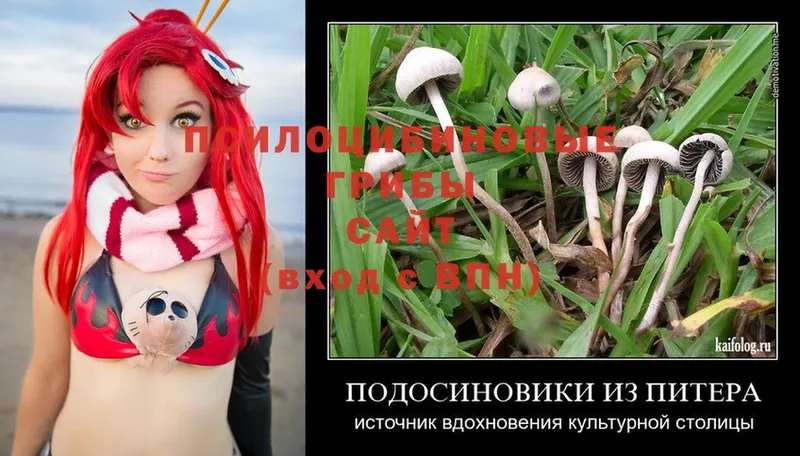 Галлюциногенные грибы MAGIC MUSHROOMS  Ульяновск 